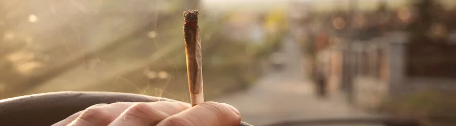 Cannabis am Steuer: Was ist erlaubt, was nicht?